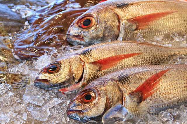 Balıklarda Trimetilamin (TMA) Analizi