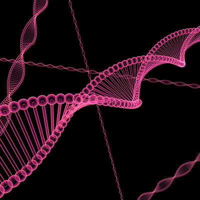 DNA Analizörü