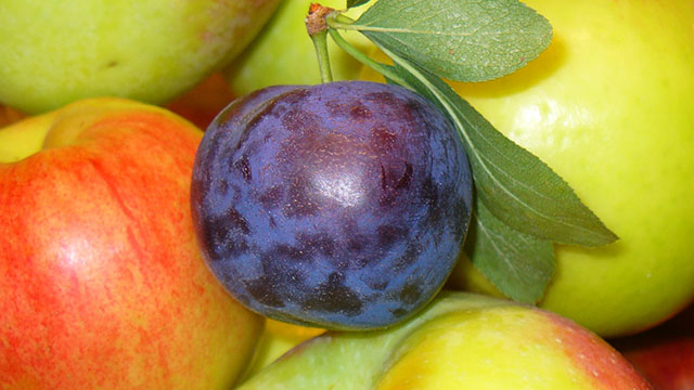 Meyve Eti Sertliği Analizi