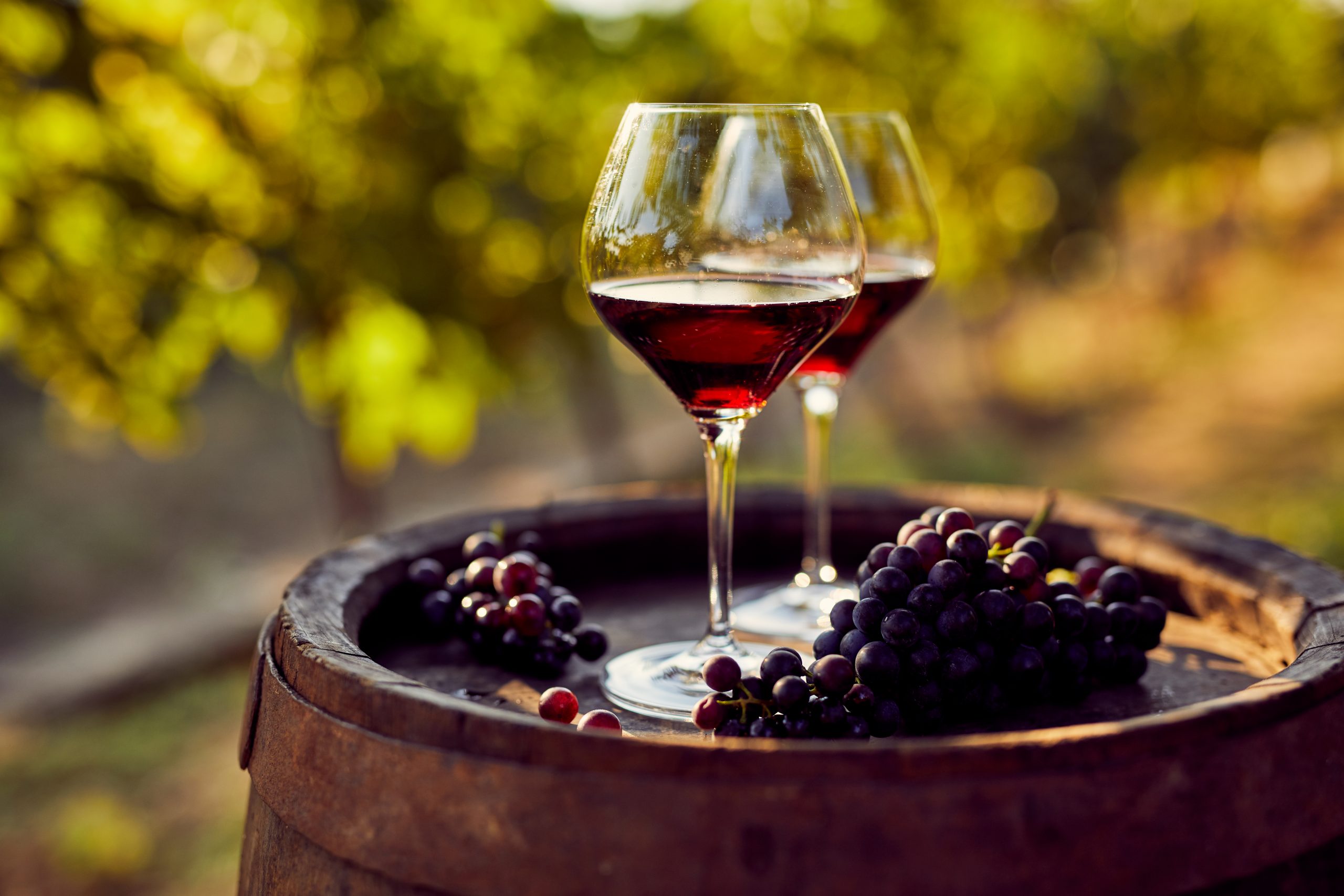 Şarap Yapımında Kükürtdioksit, Malik Asit ve Fruktoz Değerinin Önemi
