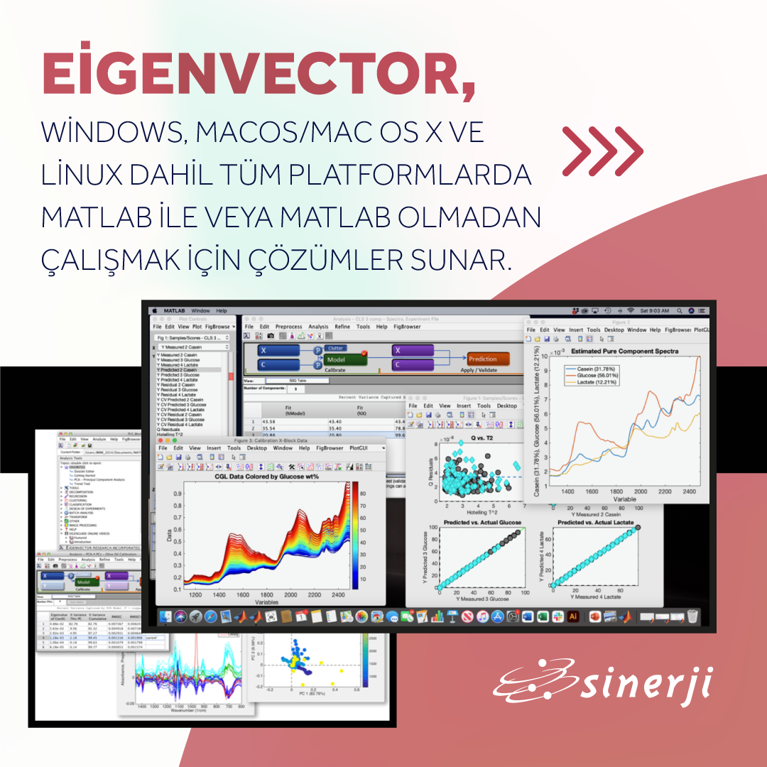 Eigenvector