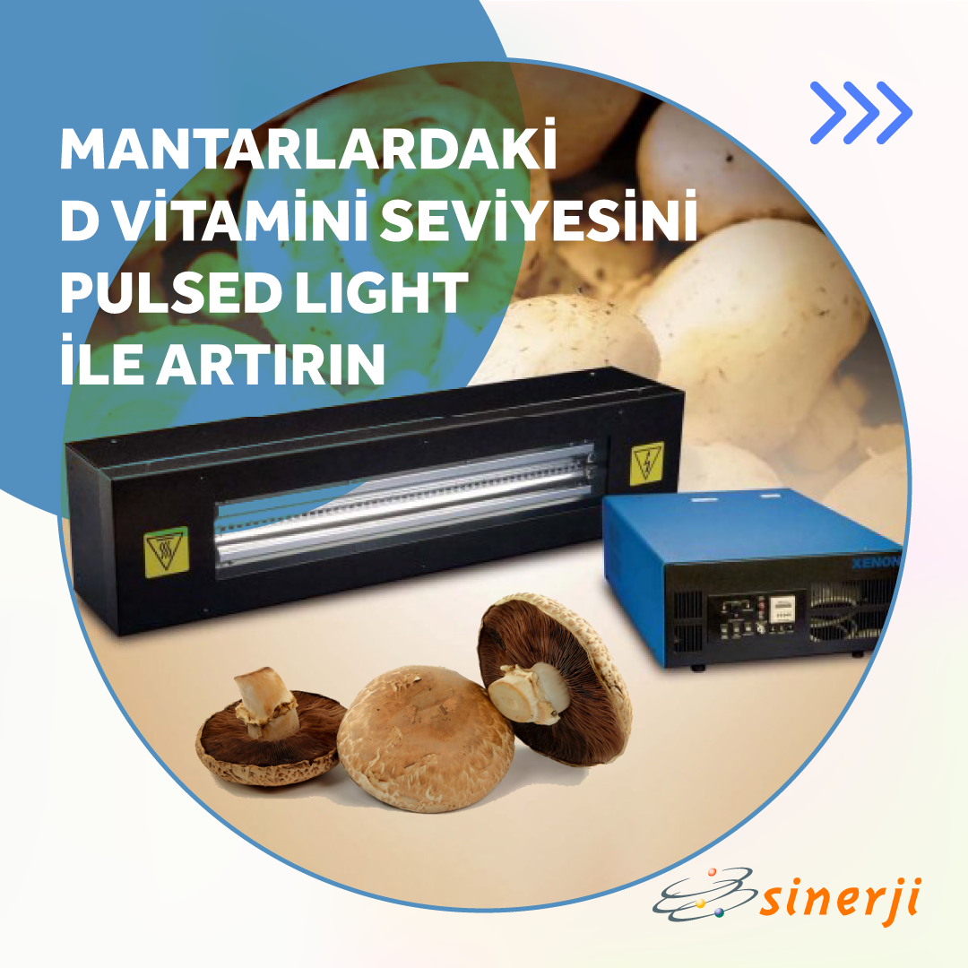 XENON Pulsed Light teknolojisi ile, Mantarlardaki D Vitamini Seviyesini Pulsed Light ile Artırın